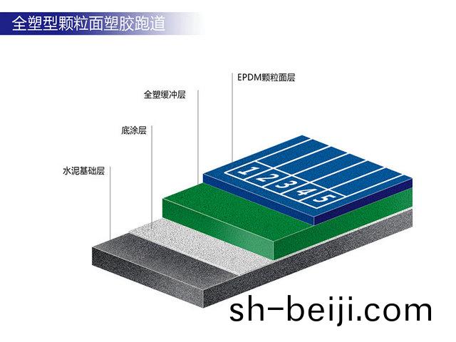 全(quan)塑(su)型(xing)塑膠跑道(dao)