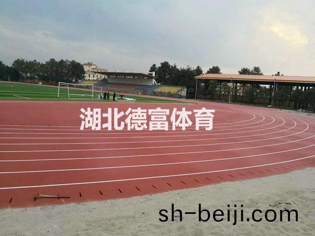 標準塑膠(jiao)跑(pao)道(dao)