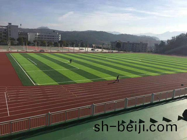 湖(hu)北(bei)悳(de)富體(ti)育設施(shi)工程有(you)限公司(si)